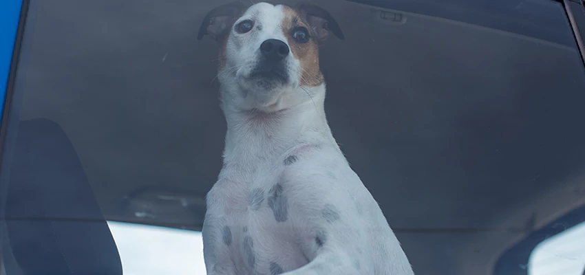 Car Lockout Solutions in Arcata, California